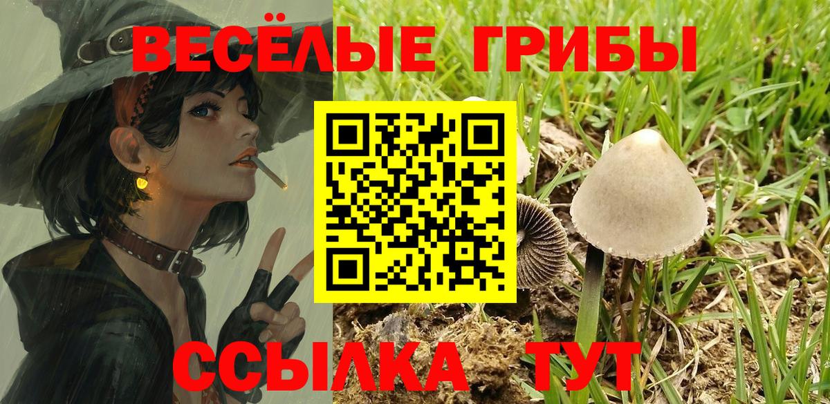 Галлюциногенные грибы Magic Shrooms  Галлюциногенные грибы Cubensis  Шелехов  Вход с VPN 